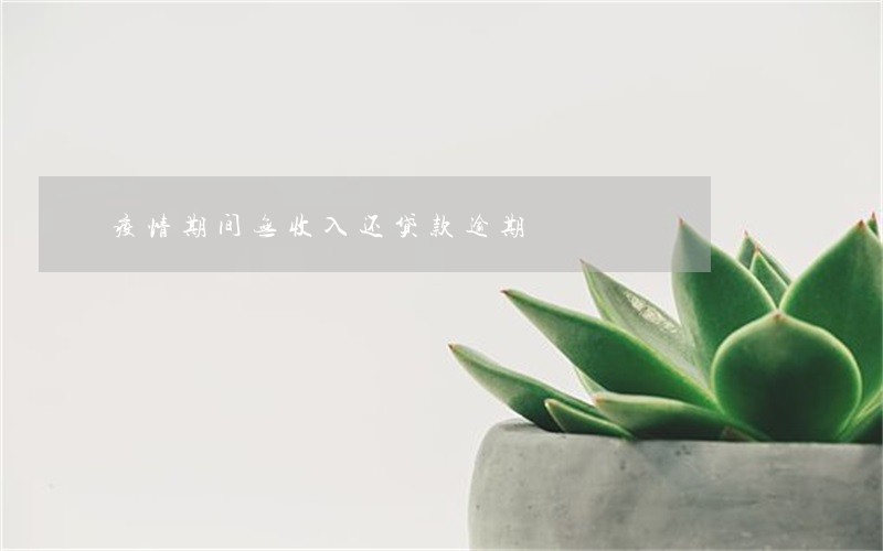 疫情期间无收入还贷款逾期 疫情期间无收入还贷款逾期