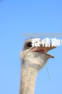 疫情期间有多少人信用卡逾期 疫情期间有多少人信用卡逾期