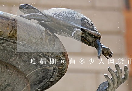 疫情期间有多少人网贷正在逾期 疫情期间有多少人网贷正在逾期