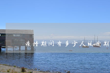 疫情期间有多少人被逾期 疫情期间有多少人被逾期
