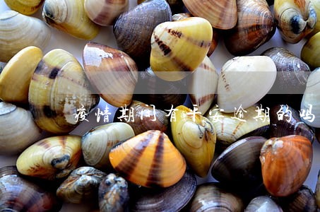 疫情期间有平安逾期的吗 疫情期间有平安逾期的吗