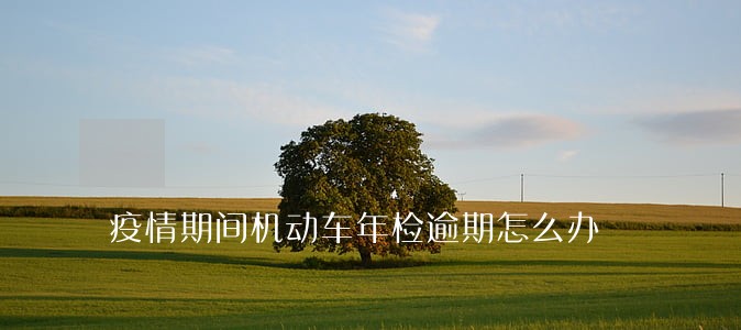 疫情期间机动车年检逾期怎么办 疫情期间机动车年检逾期怎么办