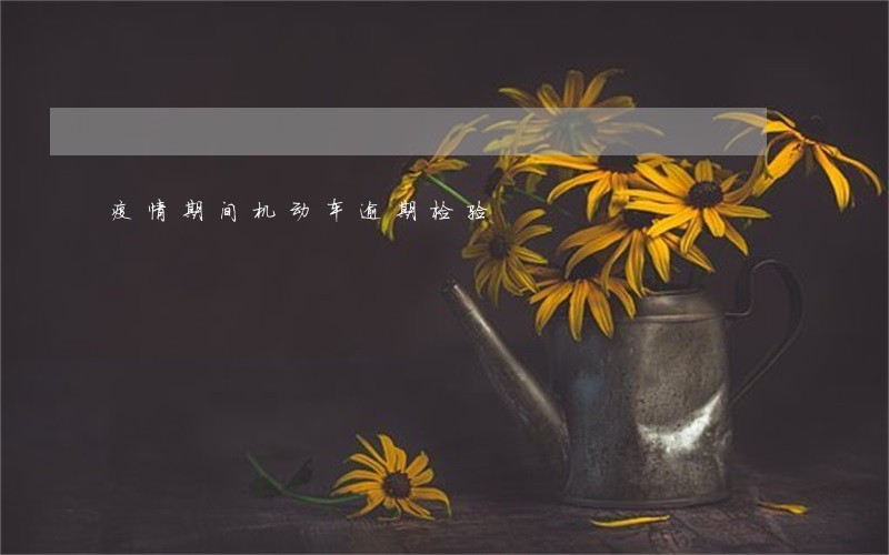 疫情期间机动车逾期检验 疫情期间机动车逾期检验