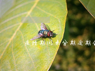 疫情期间来分期逾期会怎么样 疫情期间来分期逾期会怎么样
