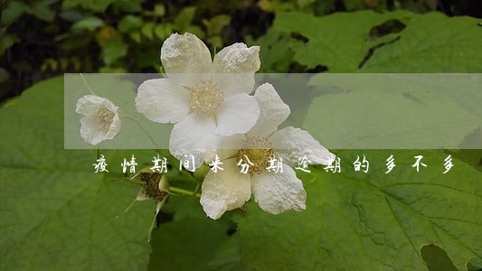 疫情期间来分期逾期的多不多 疫情期间来分期逾期的多不多