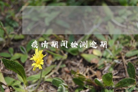 疫情期间检测逾期 疫情期间检测逾期