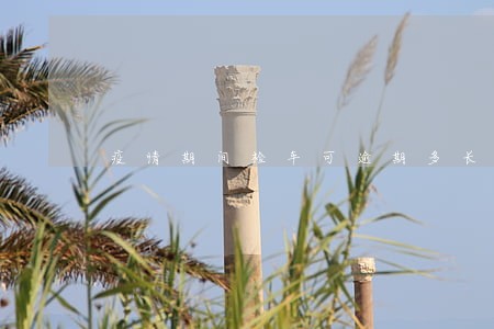 疫情期间检车可逾期多长时间 疫情期间检车可逾期多长时间