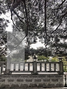 疫情期间检车逾期了 疫情期间检车逾期了