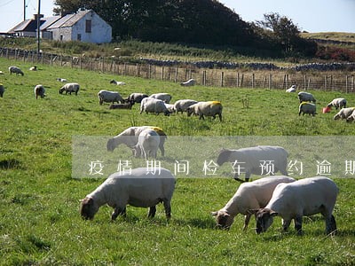 疫情期间检车预约逾期怎么办 疫情期间检车预约逾期怎么办