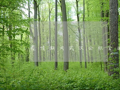 疫情期间武汉公积金逾期 疫情期间武汉公积金逾期