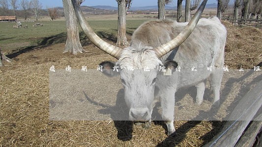疫情期间武汉法院什么时候上班 疫情期间武汉法院什么时候上班