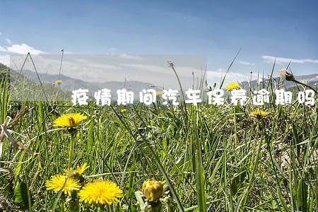 疫情期间汽车保养逾期吗 疫情期间汽车保养逾期吗