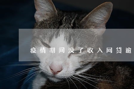 疫情期间没了收入网贷逾期 疫情期间没了收入网贷逾期
