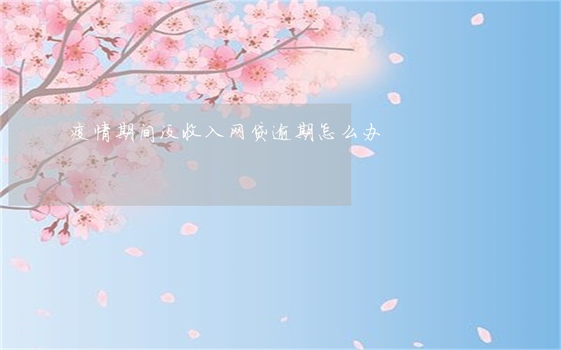 疫情期间没收入网贷逾期怎么办 疫情期间没收入网贷逾期怎么办