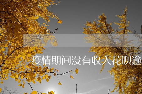 疫情期间没有收入花呗逾期怎么办 疫情期间没有收入花呗逾期怎么办