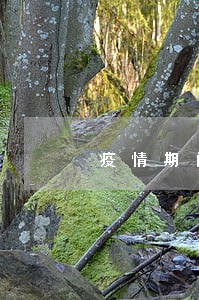 疫情期间法院下判决书吗
