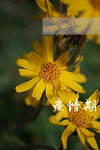 疫情期间法院不下判决书吗