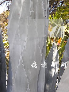 疫情期间法院执行难点 疫情期间法院执行难点