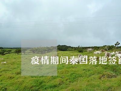 疫情期间泰国落地签逾期 疫情期间泰国落地签逾期