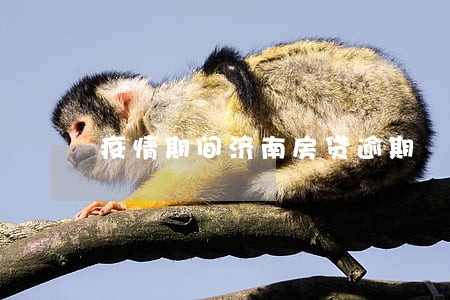 疫情期间济南房贷逾期 疫情期间济南房贷逾期