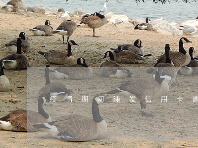 疫情期间浦发信用卡逾期新规定 疫情期间浦发信用卡逾期新规定