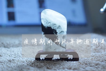 疫情期间湖北车辆逾期年检 疫情期间湖北车辆逾期年检