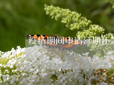 疫情期间申请延期还款显示逾期 疫情期间申请延期还款显示逾期