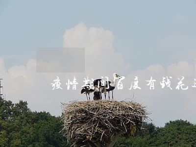 疫情期间百度有钱花逾期了 疫情期间百度有钱花逾期了