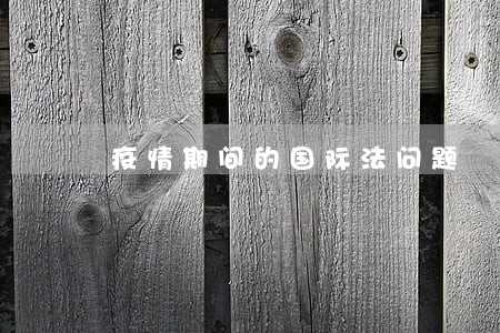 疫情期间的国际法问题 疫情期间的国际法问题