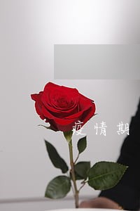 疫情期间的逾期国家政策 疫情期间的逾期国家政策