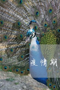 疫情期间的银行逾期 疫情期间的银行逾期
