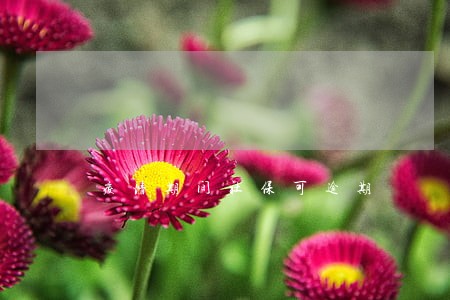 疫情期间社保可逾期 疫情期间社保可逾期