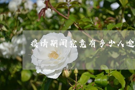 疫情期间究竟有多少人逾期 疫情期间究竟有多少人逾期