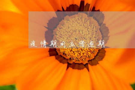 疫情期间立借逾期 疫情期间立借逾期