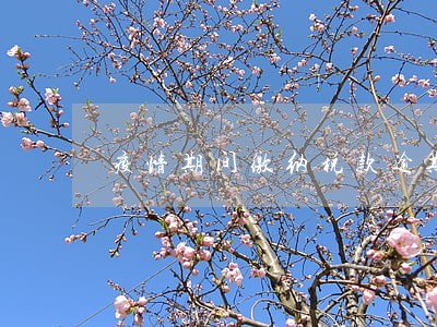 疫情期间缴纳税款逾期了 疫情期间缴纳税款逾期了