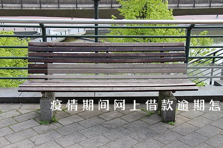 疫情期间网上借款逾期怎么办 疫情期间网上借款逾期怎么办