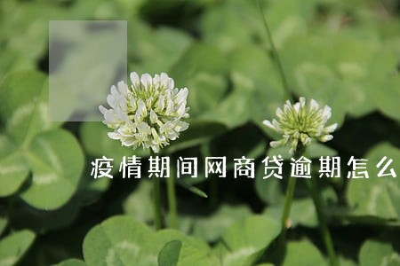 疫情期间网商贷逾期怎么办 疫情期间网商贷逾期怎么办