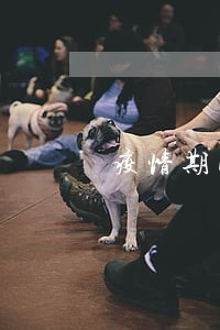 疫情期间网络贷款逾期怎么办 疫情期间网络贷款逾期怎么办