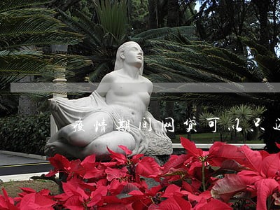 疫情期间网贷可以只还本金吗