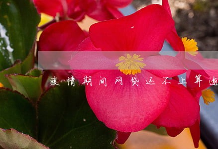 疫情期间网贷还不上算逾期