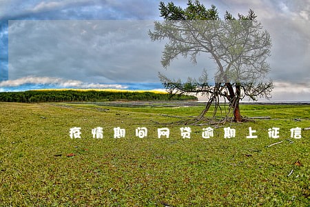 疫情期间网贷逾期上征信显 疫情期间网贷逾期上征信显