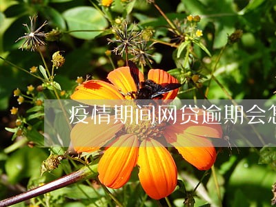 疫情期间网贷逾期会怎样 疫情期间网贷逾期会怎样
