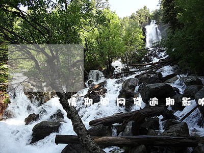疫情期间网贷逾期影响征信吗 疫情期间网贷逾期影响征信吗
