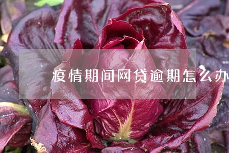疫情期间网贷逾期怎么办 疫情期间网贷逾期怎么办