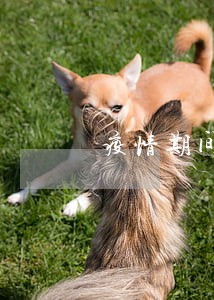 疫情期间网贷逾期暴增 疫情期间网贷逾期暴增