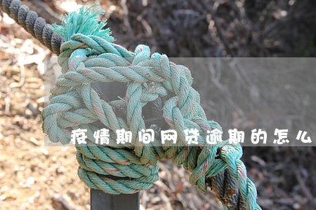 疫情期间网贷逾期的怎么处理 疫情期间网贷逾期的怎么处理