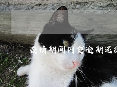 疫情期间网贷逾期还款怎么办 疫情期间网贷逾期还款怎么办