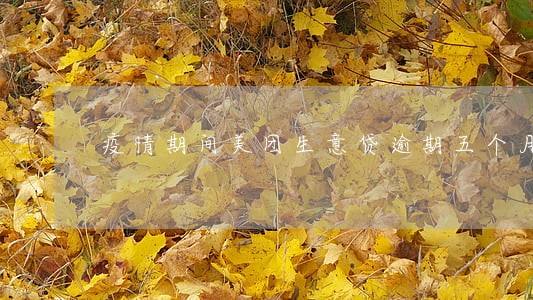 疫情期间美团生意贷逾期五个月 疫情期间美团生意贷逾期五个月