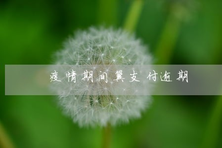 疫情期间翼支付逾期 疫情期间翼支付逾期