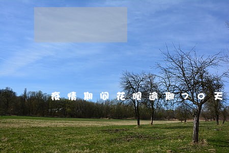 疫情期间花呗逾期70天有影响吗 疫情期间花呗逾期70天有影响吗